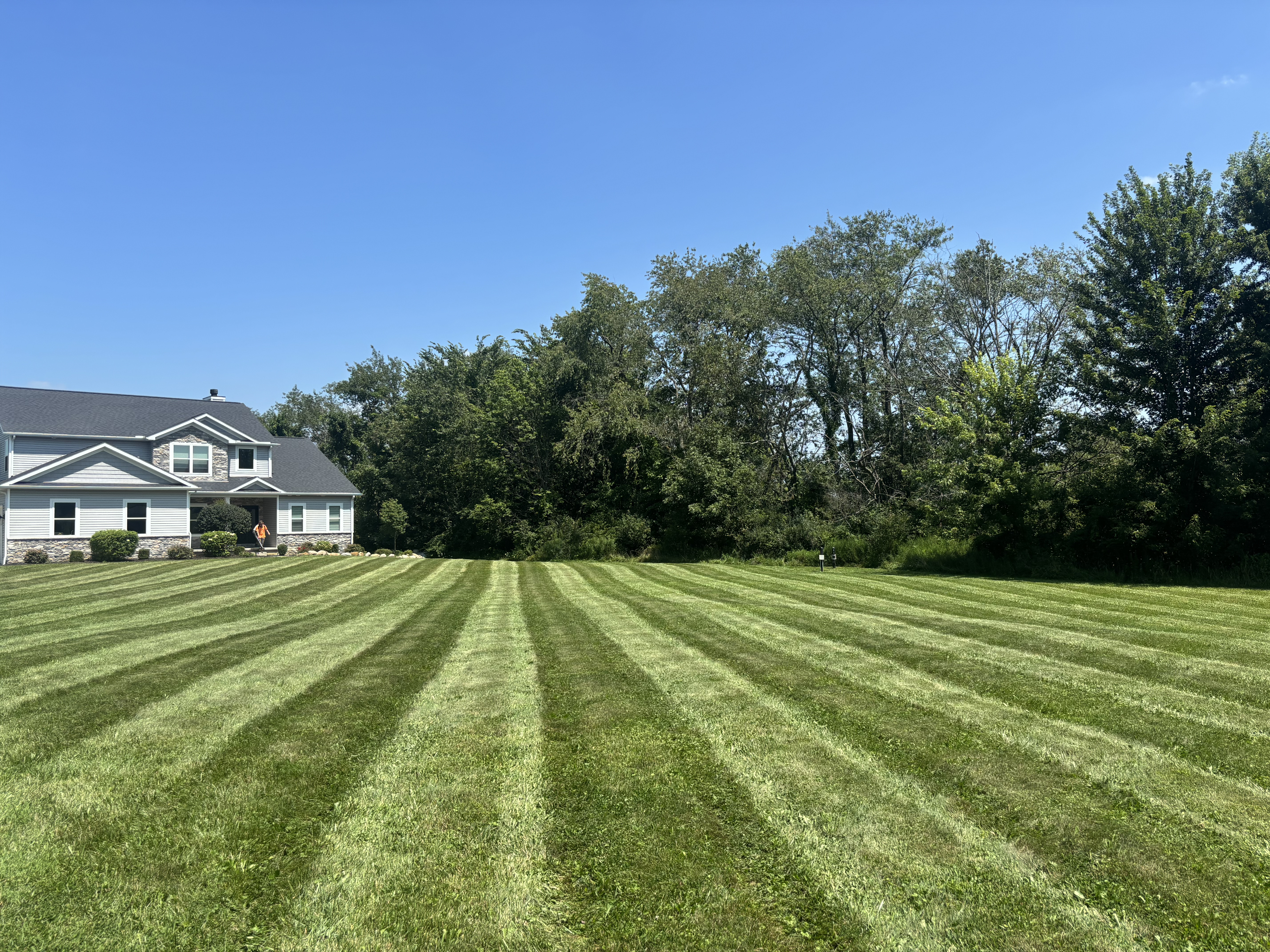 Perfectly striped residential lawn