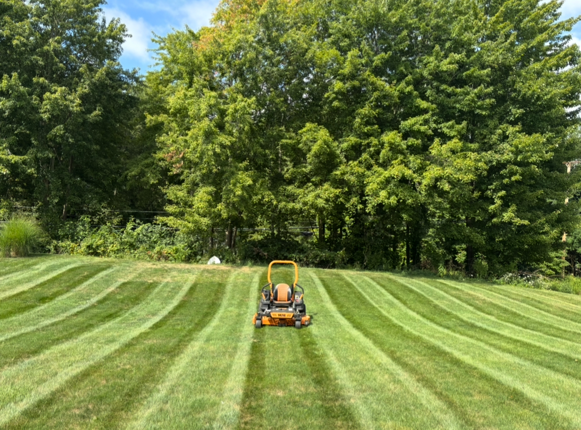 Professional lawn mowing