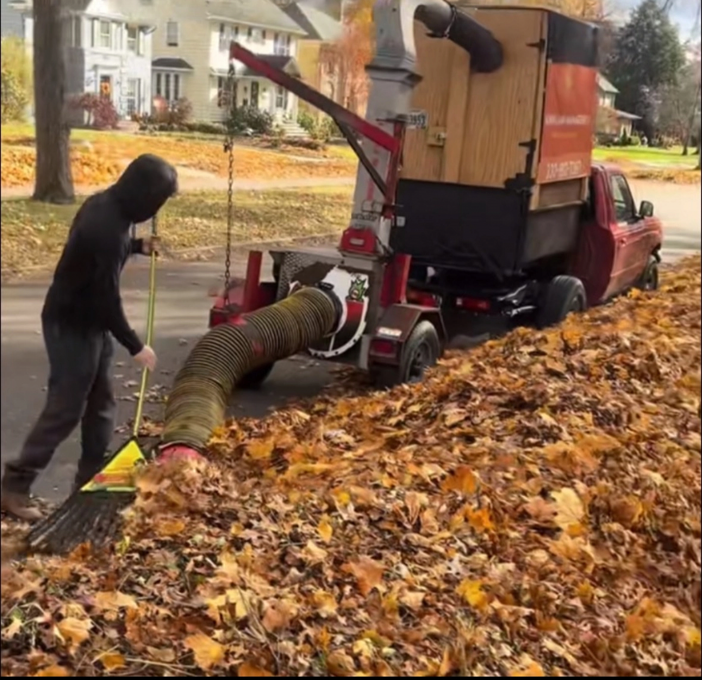 Fall leaf cleanup and removal