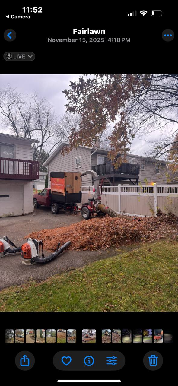 Fall and spring lawn cleanup with leaf vacuum